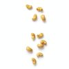 Felicetti Organic Bow Tie Pasta Italian Durum Wheat-2