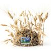 Barilla Farfalle Pasta Non-GMO Kosher Certified 12 Boxes-3