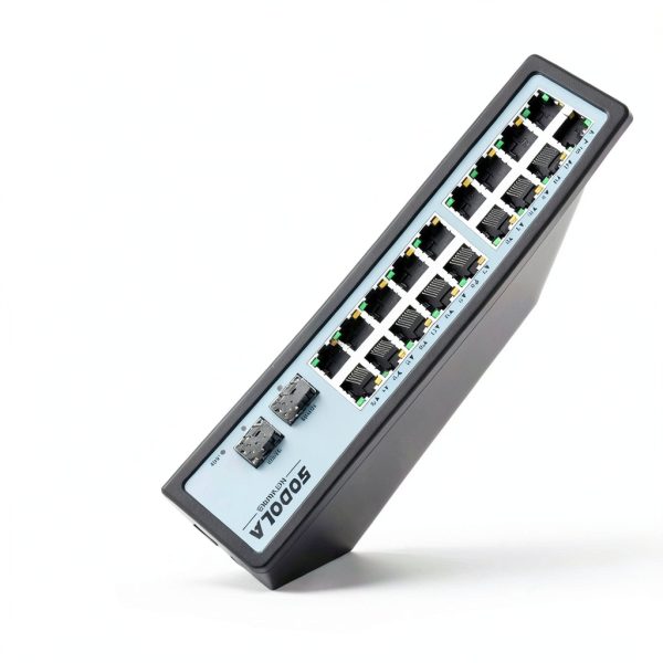 SL300S 2.5G 10G Switch Metal 18 Port Rackmount-4