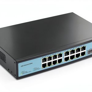 SL300S 2.5G 10G Switch Metal 18 Port Rackmount-0