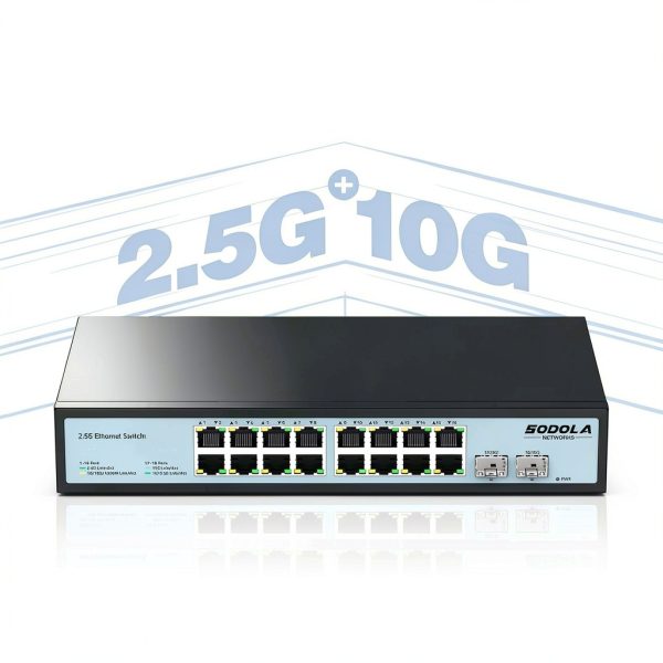 SL300S 2.5G 10G Switch Metal 18 Port Rackmount-2